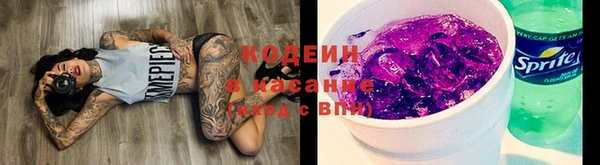трава Арсеньев
