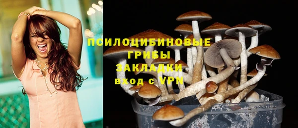 трава Арсеньев