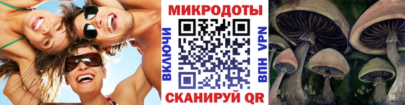 Купить закладки  Курганинск  Галлюциногенные грибы Psilocybine cubensis 
