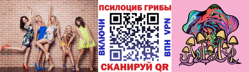 Псилоцибиновые грибы Cubensis Курганинск